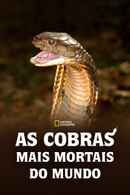 World's Deadliest Snakes Poster 6