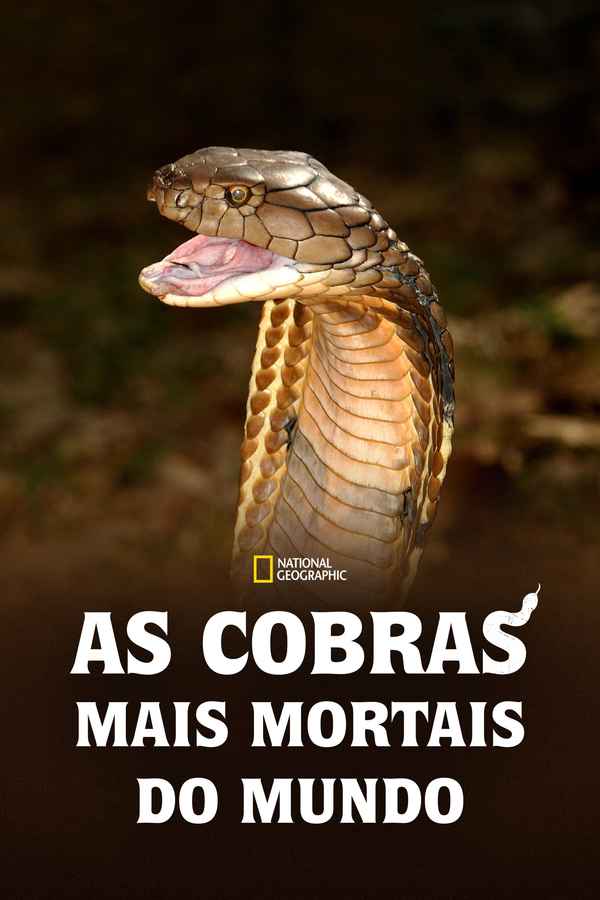 World's Deadliest Snakes Poster 6