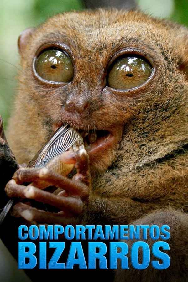 World's Weirdest Poster 1