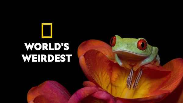 World's Weirdest Poster 4