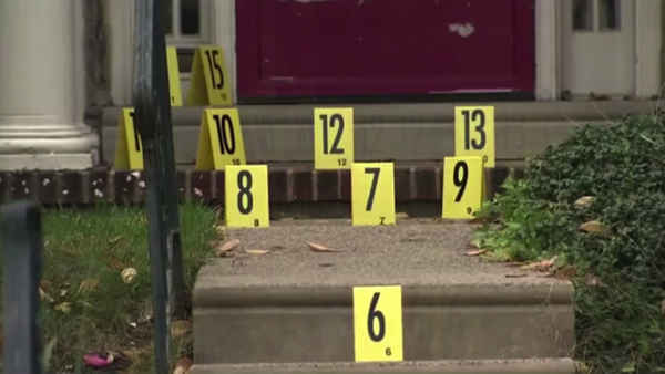 Worst Roommate Ever Poster 2