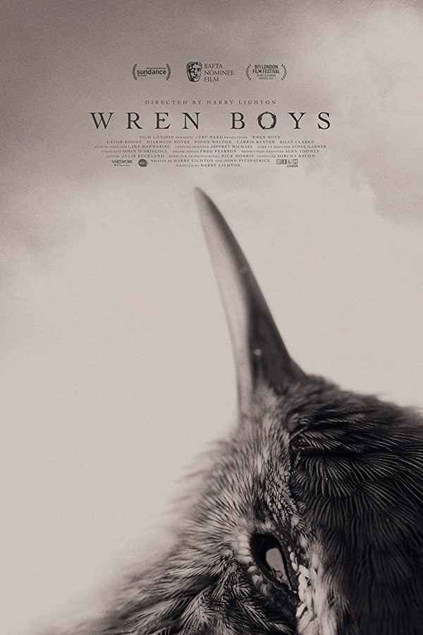 Wren Boys Poster 2