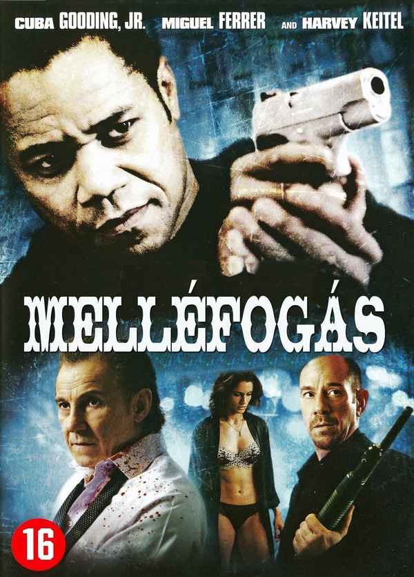 Wrong Turn at Tahoe Poster 3