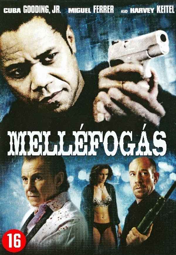 Wrong Turn at Tahoe Poster 6