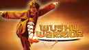 Wushu Warrior Poster 2