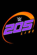 WWE 205 Live Poster 6