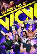 WWE: The Rise & Fall of WCW Poster 4