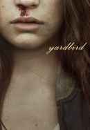 Yardbird Poster 6