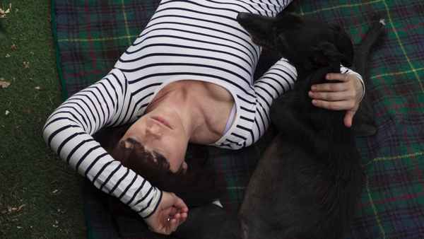 Year of the Dog Poster 1