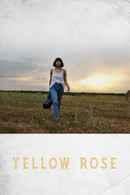 Yellow Rose Poster 3