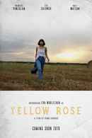 Yellow Rose Poster 5