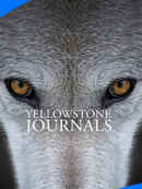 Yellowstone Journals Poster 5
