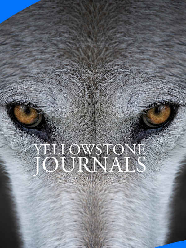 Yellowstone Journals Poster 5