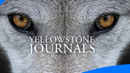 Yellowstone Journals Poster 3