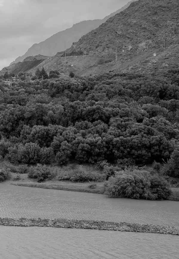 yet another leap year Poster 2