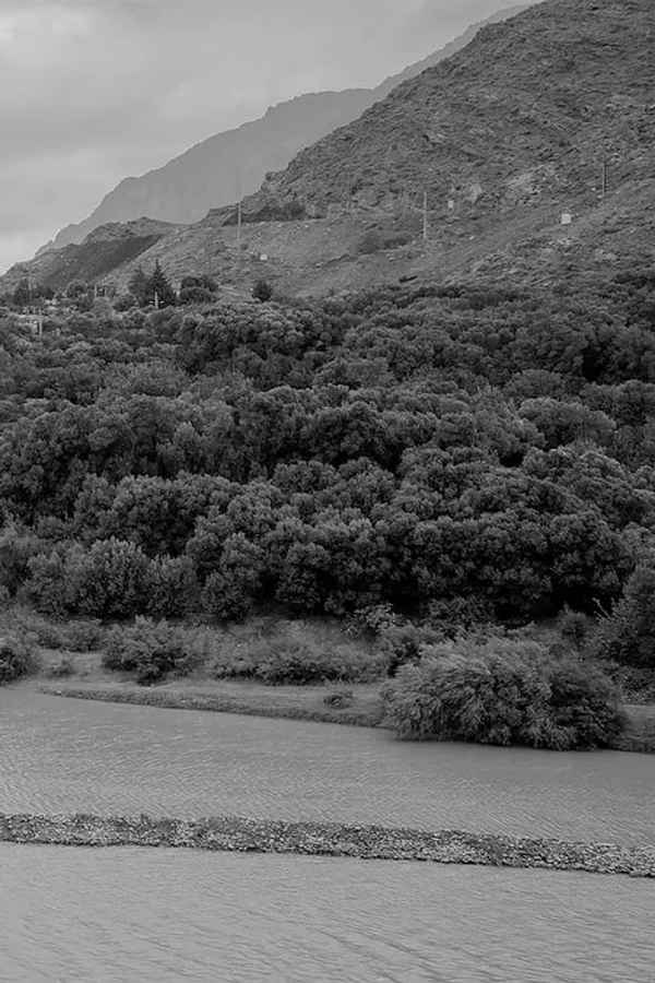 yet another leap year Poster 1