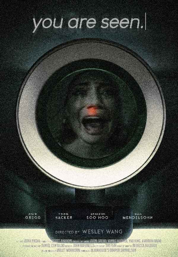 you are seen. Poster 2