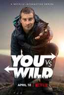 You vs. Wild Poster 1