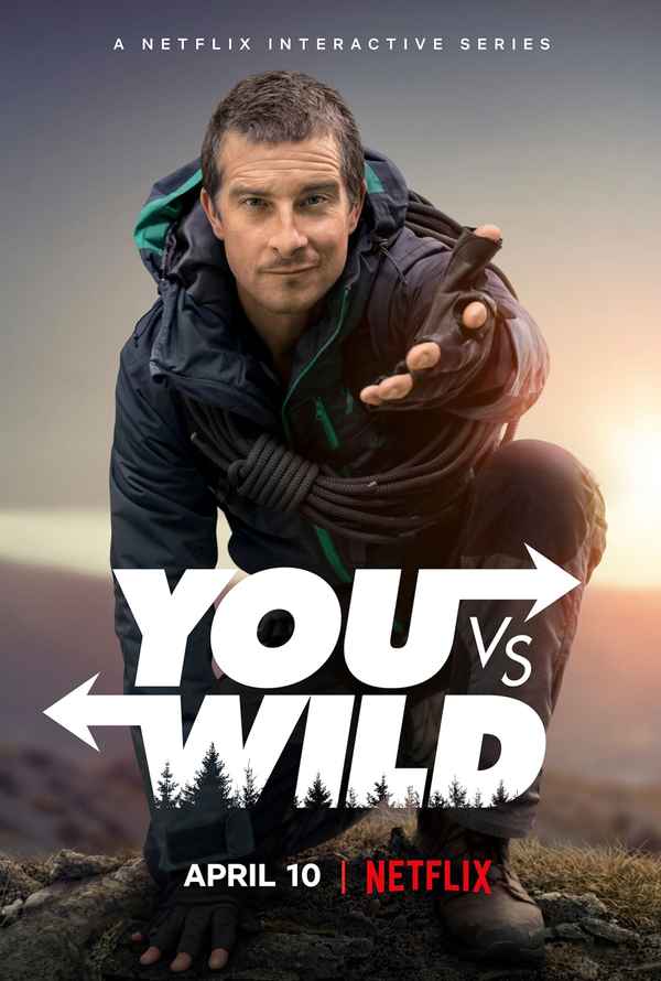 You vs. Wild Poster 1