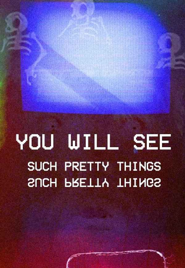 You Will See Such Pretty Things Poster 2
