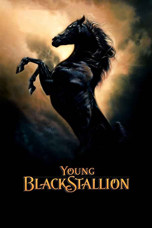 Young Black Stallion Poster 4