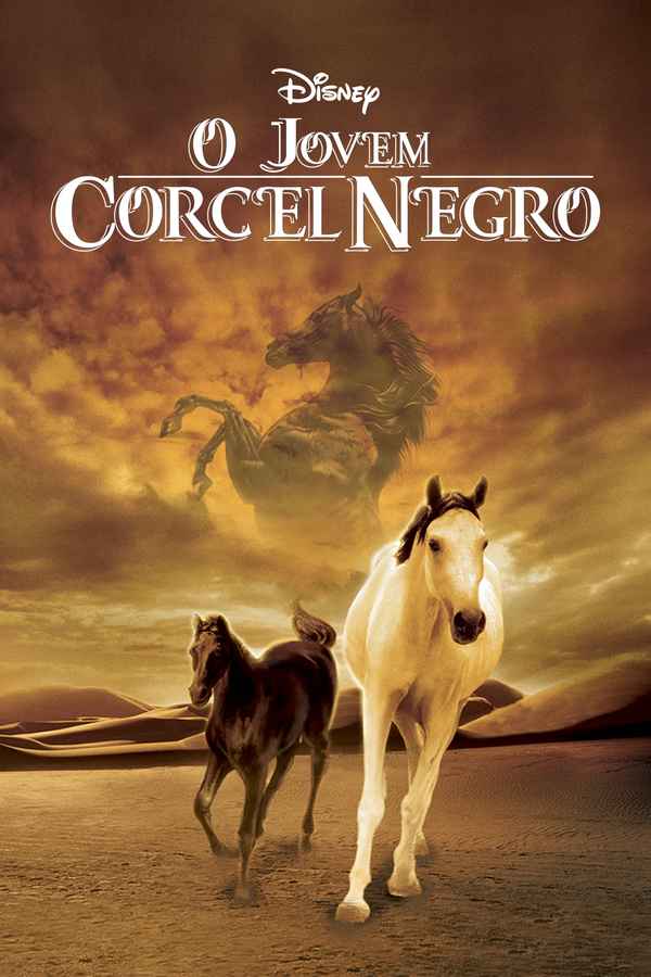 Young Black Stallion Poster 5