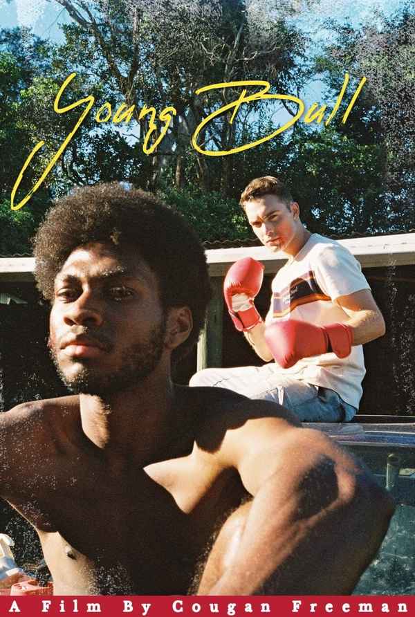 Young Bull Poster 1