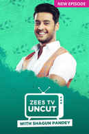ZEE5 TV Uncut Reality Show (ज़ी टीवी अनकट रियलिटी शो) Poster 3