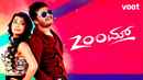 Zoom Poster 5