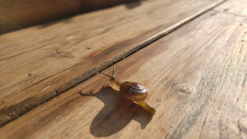 Oppo Reno 14 Pro review