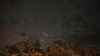 Perseid meteor shower to dazzle sky this week: Date, time, location and how to watch