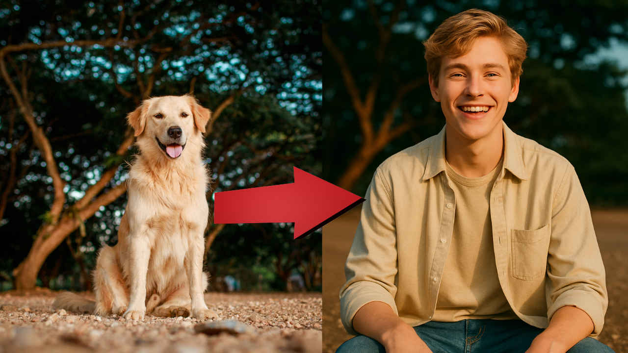 Pet Human Trend