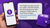 PhonePe users may face Rs 100 quarterly fee on inactive wallets: Report