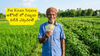Pm Kisan Yojana: రైతులకు కేంద్రం కీలక అప్‌డేట్ .. అకౌంట్ లో డబ్బులు పడేది ఎప్పుడంటే.!