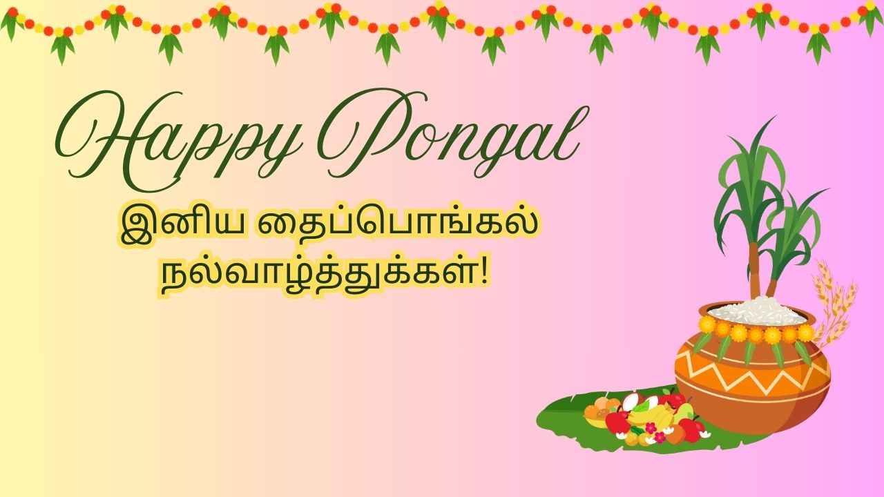 Happy Pongal 2025: உங்கள் அன்பானவர்களுக்கு வித விதமாக வாழ்த்து WhatsApp யில் சொல்லி அசத்துங்க