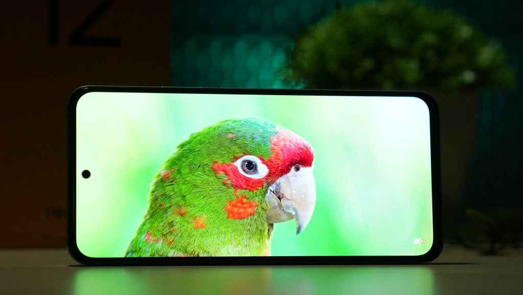 Realme 12+ 5G Display Review