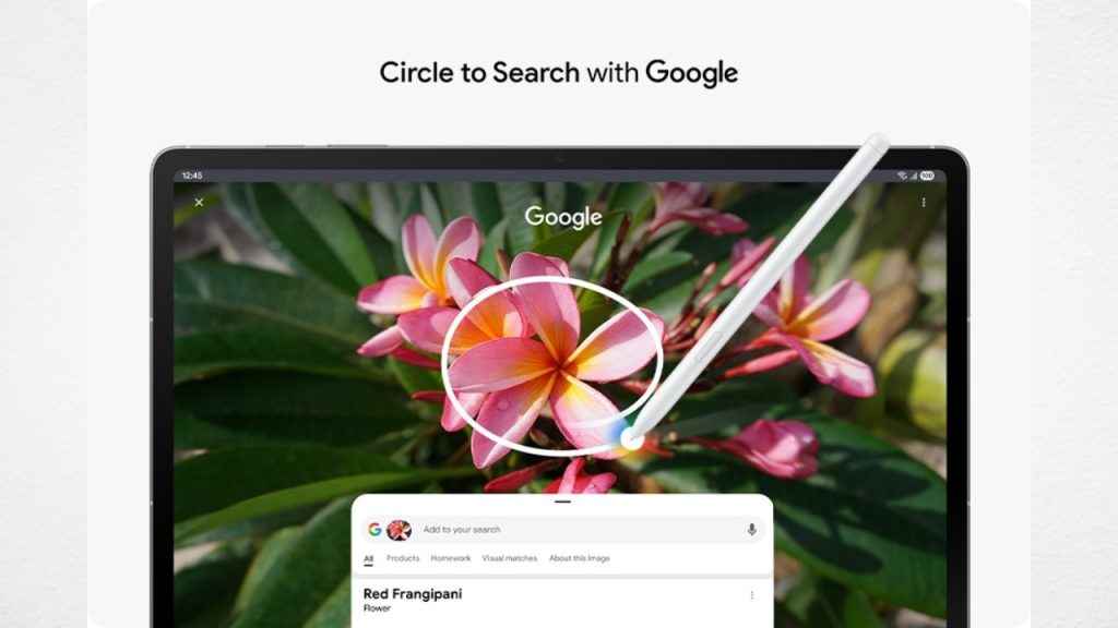 Samsung Galaxy Tab S10 FE आणि Samsung Galaxy Tab S10 FE+