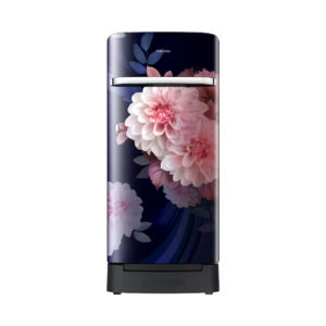Samsung RR21H2H25BB fridge