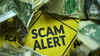 Are govt websites leading users to scams? Everything you should know