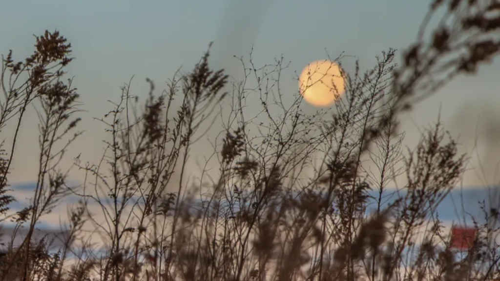 Supermoon Blue Moon