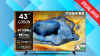 TOSHIBA 4K Smart TV on Amazon