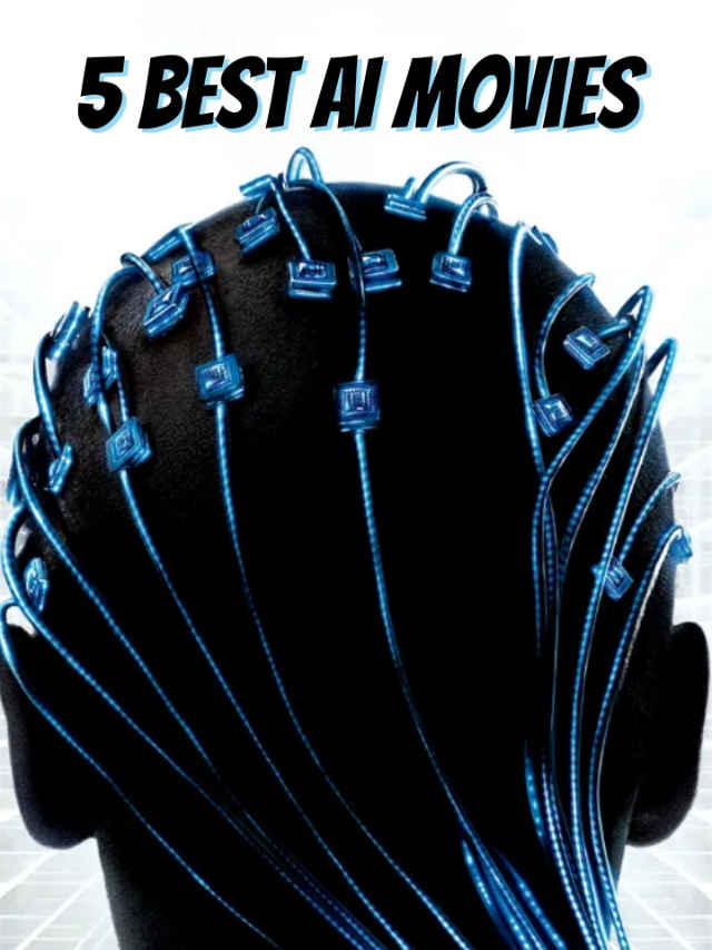 Untitled design - 2024-11-21T141233.641