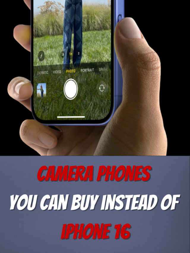 Untitled design - 2024-11-26T165133.305