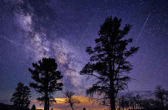 Lyrid Meteor Shower 2026: Date, timings, visibility and more