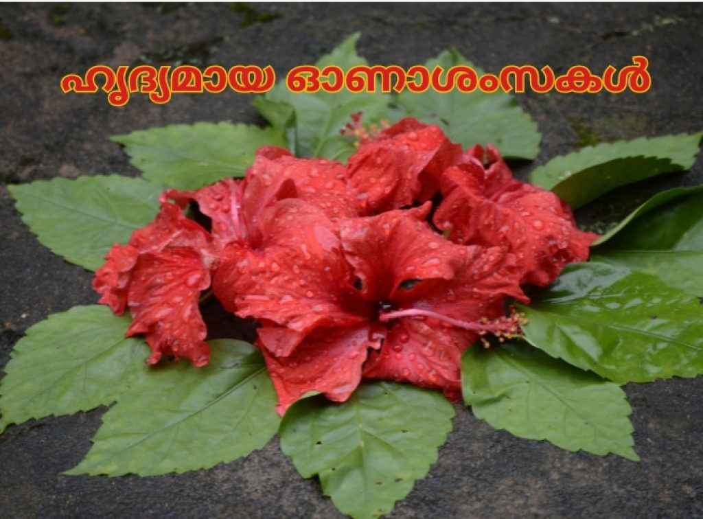 uthradam wishes 2024 share beautiful onam wishes images and videos