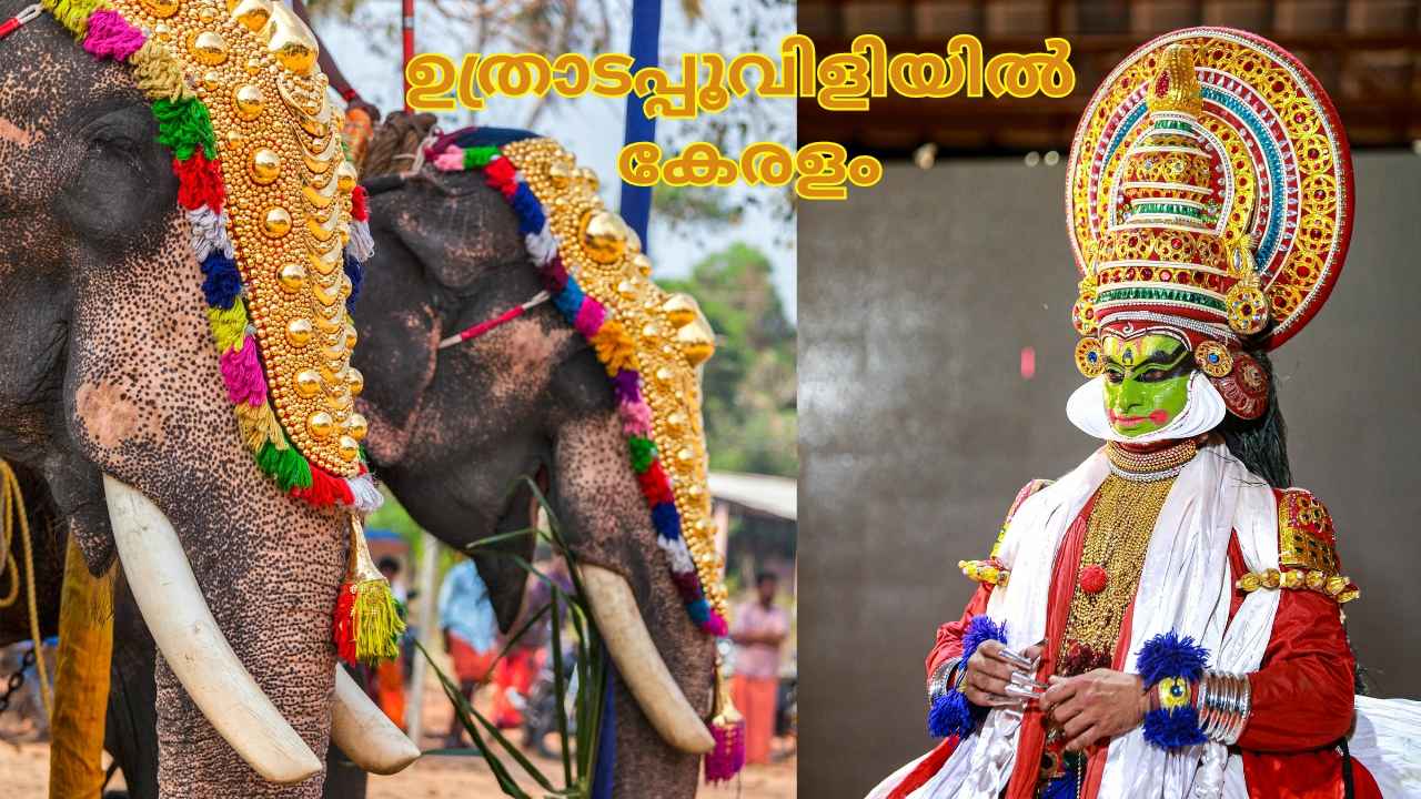 Uthradam Wishes: ഉത്രാടപ്പൂവിളിയിൽ കേരളം, പ്രിയപ്പെട്ടവർക്ക് ഷെയർ ചെയ്യാം ഉത്രാടം ദിനാശംസകളും ചിത്രങ്ങളും