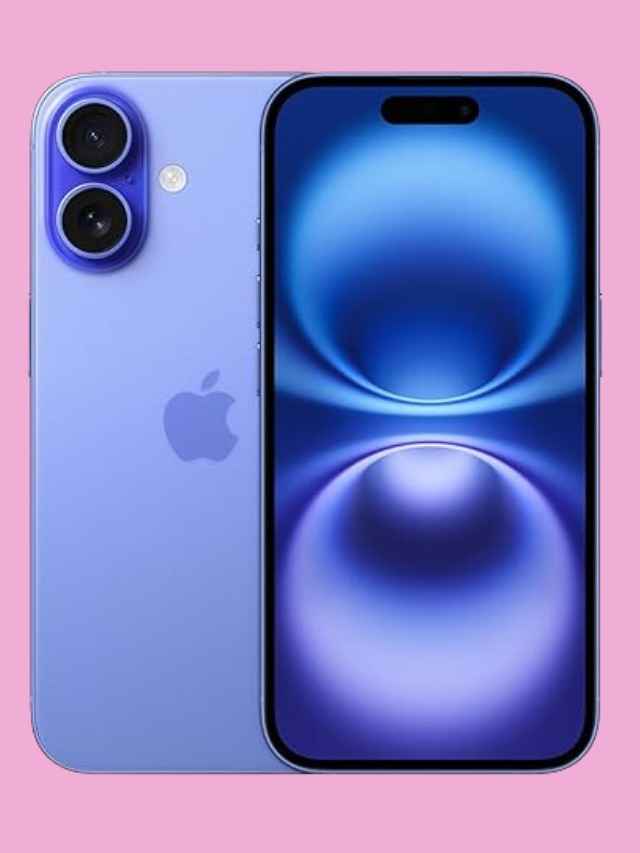 WhatsApp Image 2024-11-06 at 2.37.22 PM