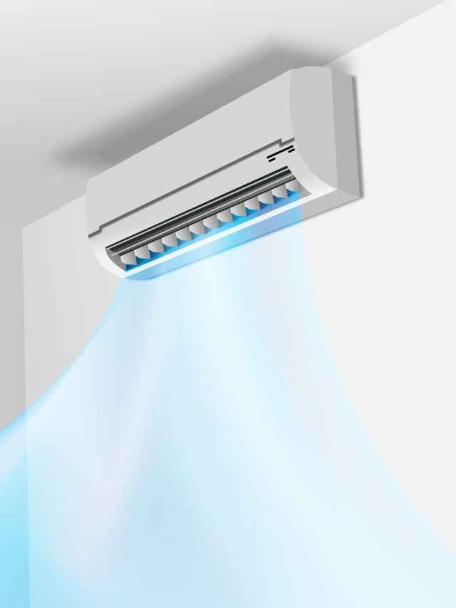 WhatsApp Image 2025-03-24 at 1.14.49 PM (1)