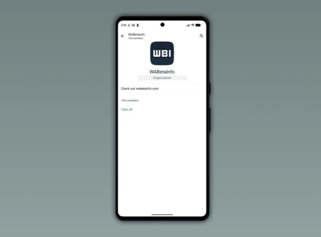 WhatsApp Organizations