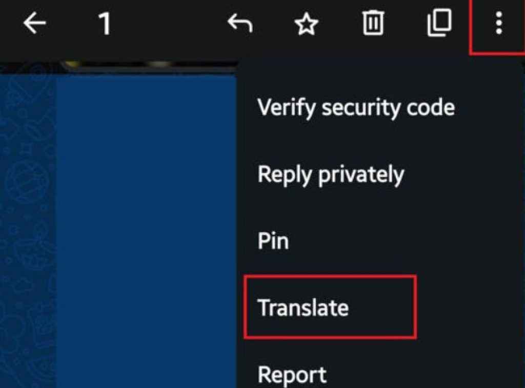 WhatsApp translate
